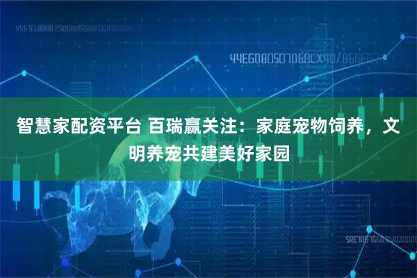 智慧家配资平台 百瑞赢关注：家庭宠物饲养，文明养宠共建美好家园